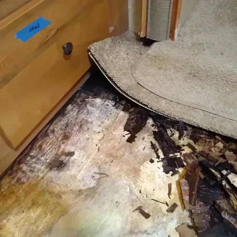 Best Wood Floor Water Damage Service in Prien, LA